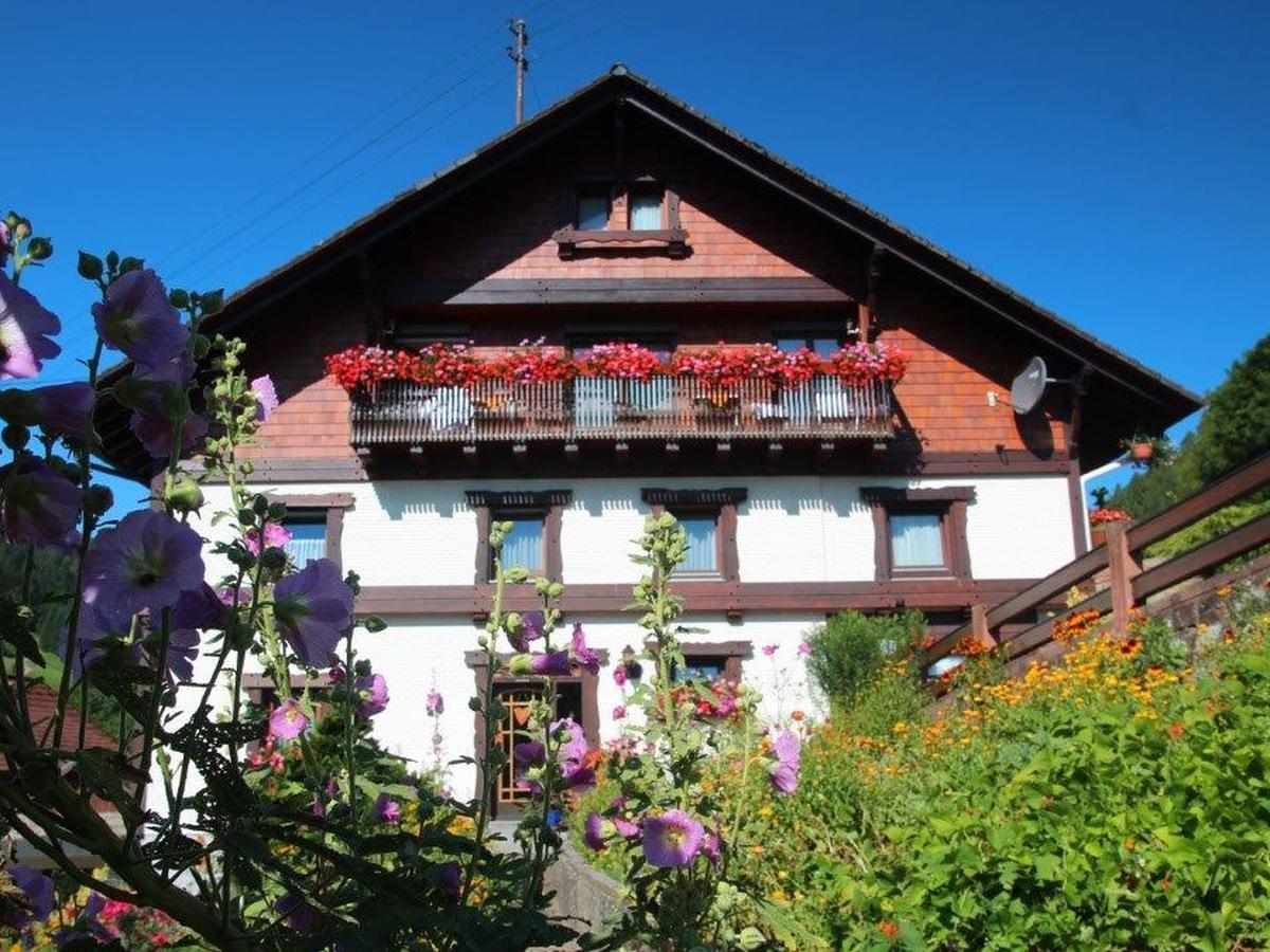 Hotel Gaestehaus Heimenberg Bad Rippoldsau-Schapbach Exterior foto